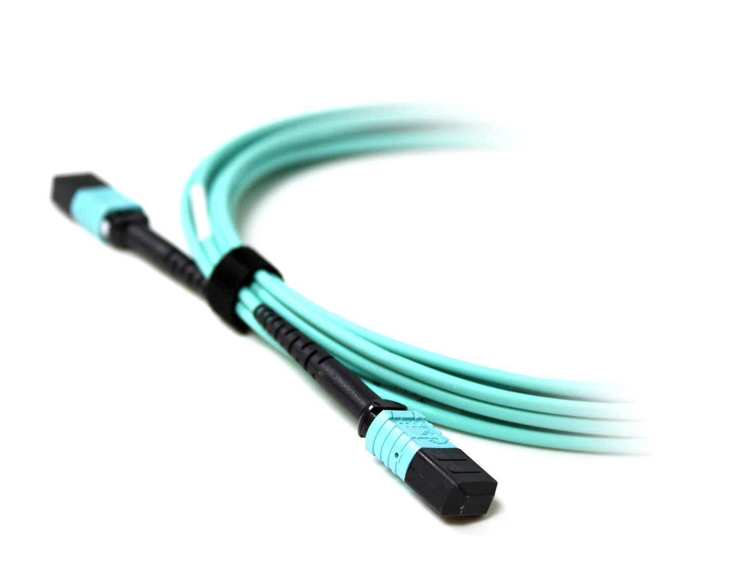 Acconet Patch Lead 12Core MPO Female to MPO Female 5M