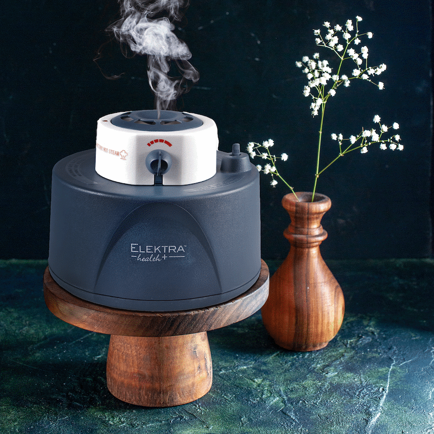 8075 - ELEKTRA HEALTH W/STEAM 4L