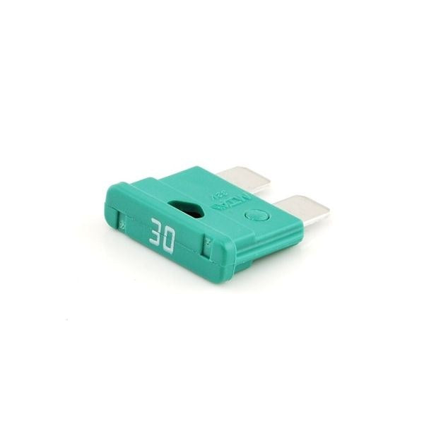 30A Blade Fuse