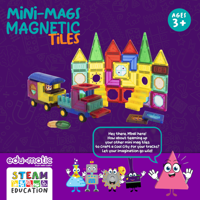 73 Magnetic Tiles, Windows, Stickers and Snowmen - Guards On Duty Shop & Security Guards