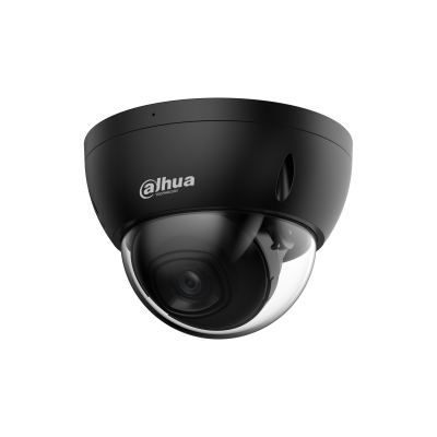 Dahua 2MP IR Fixed-focal Dome WizSense Network Camera