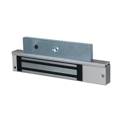 Dahua Magnetic Lock Guards On Duty Security
