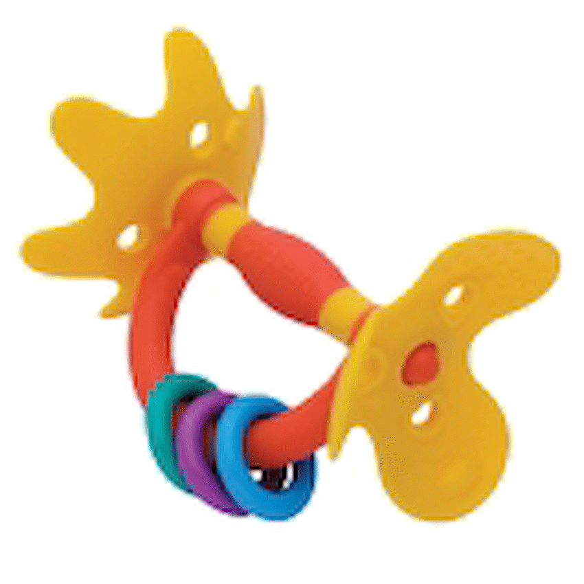 Pigeon - Training Teether Step 1