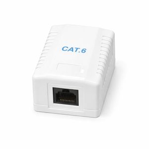 Cattex CAT6 Single Wall Box - Networking