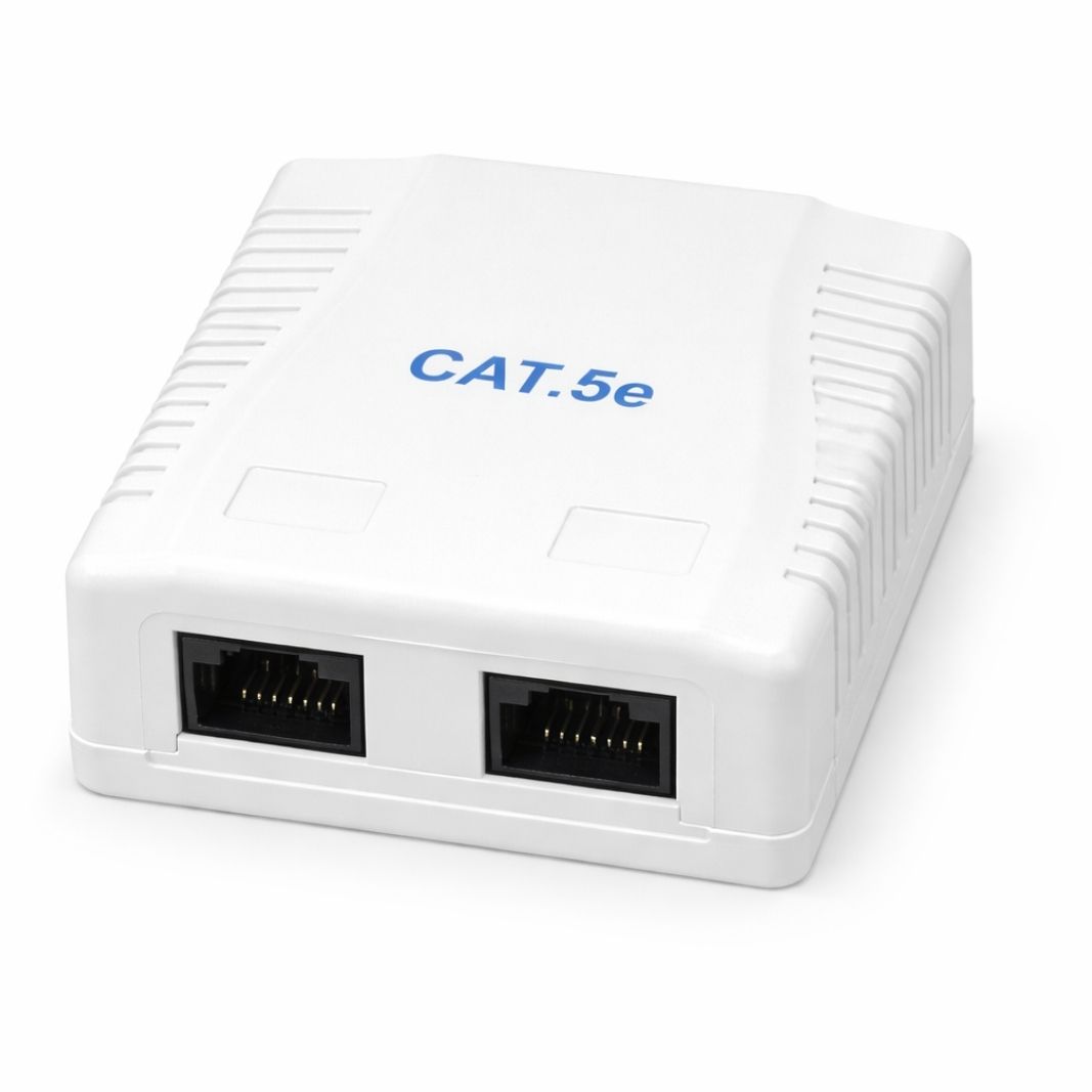 Cattex CAT5e Double Wall Box - Networking