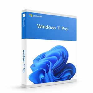 Microsoft Windows 11 Professional 64bit - Components