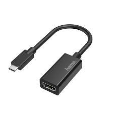 Hama Video Adapter - Guards On Duty Shop & Security Guards