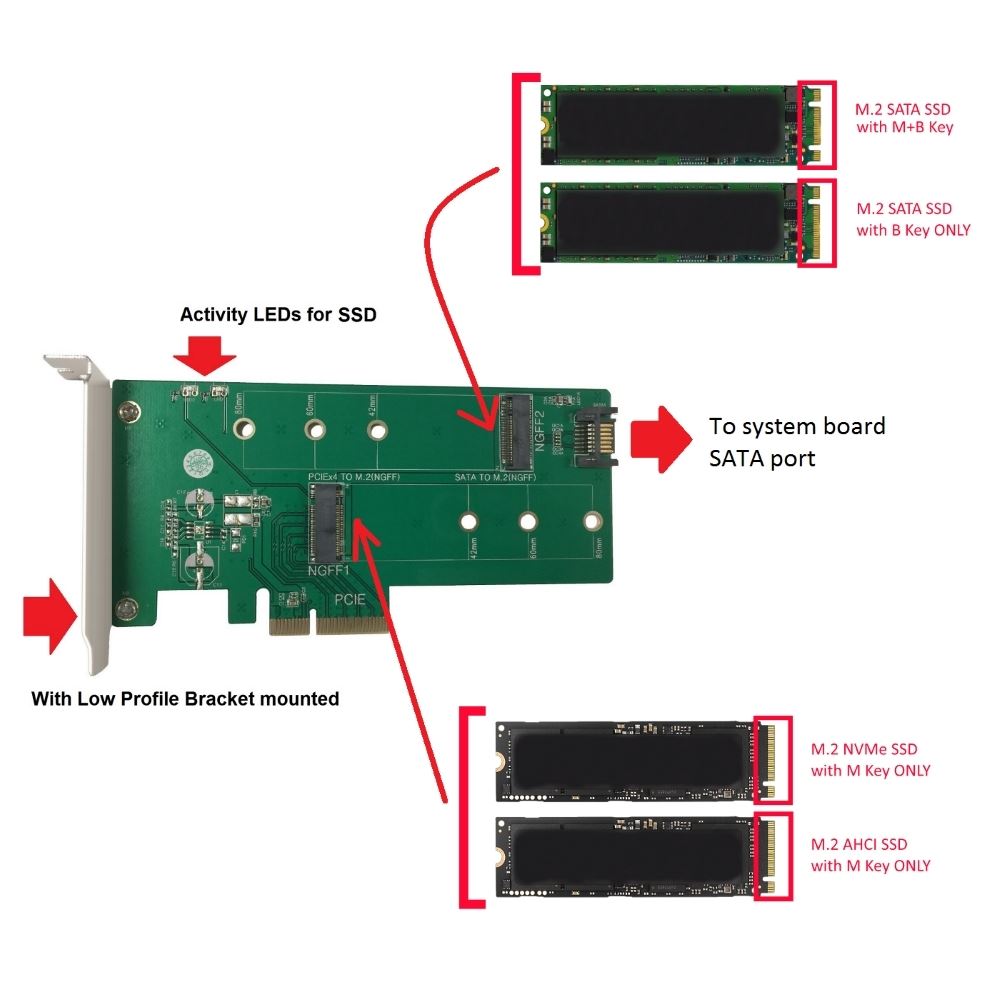 Vantec M.2 NVMe + M.2 SATA SSD PCIe X4 Adapter