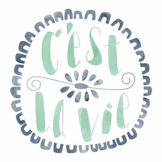 2004946 - Cricut Iron On Designs Cest Le Vie 21.5x30cm