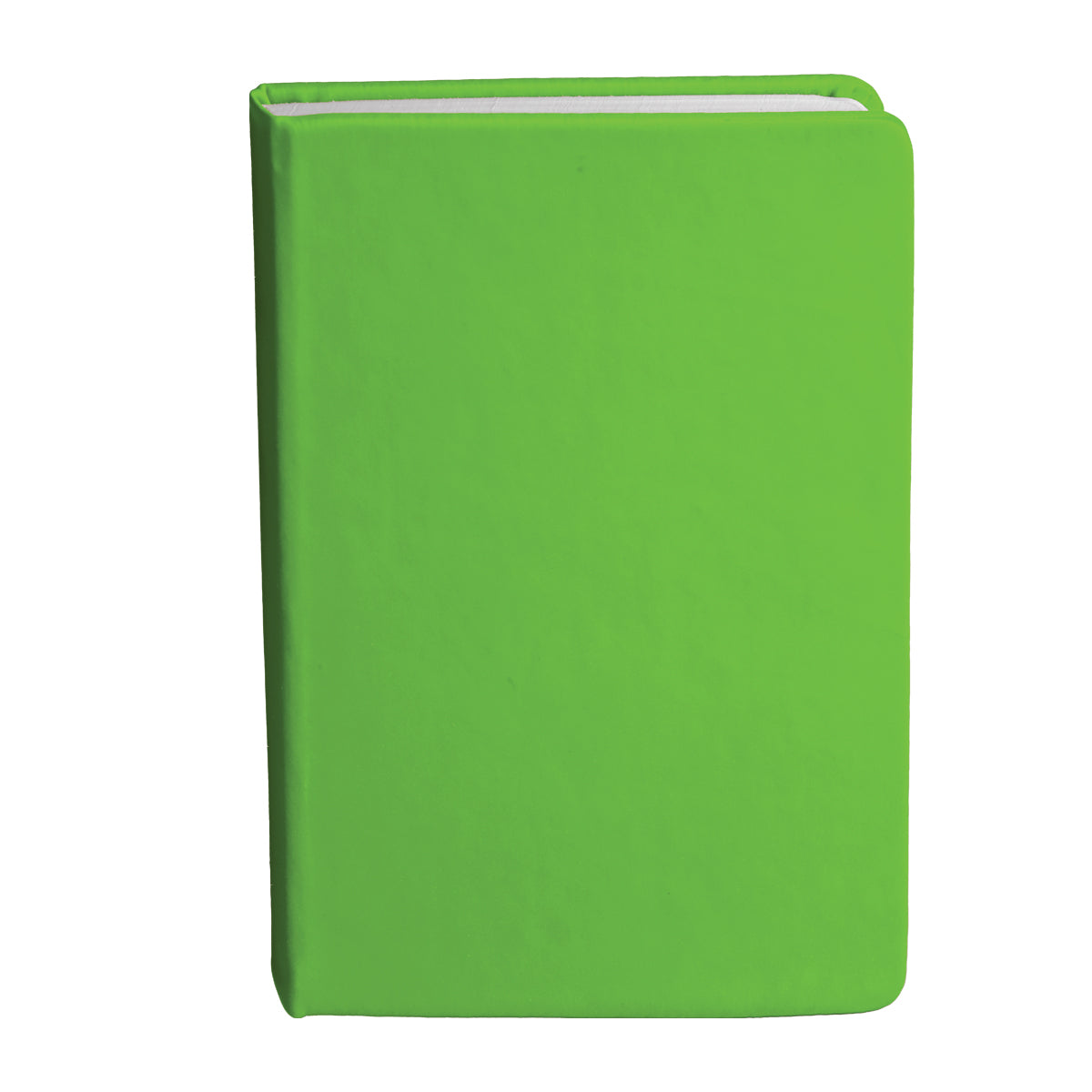 Bingham Notebook