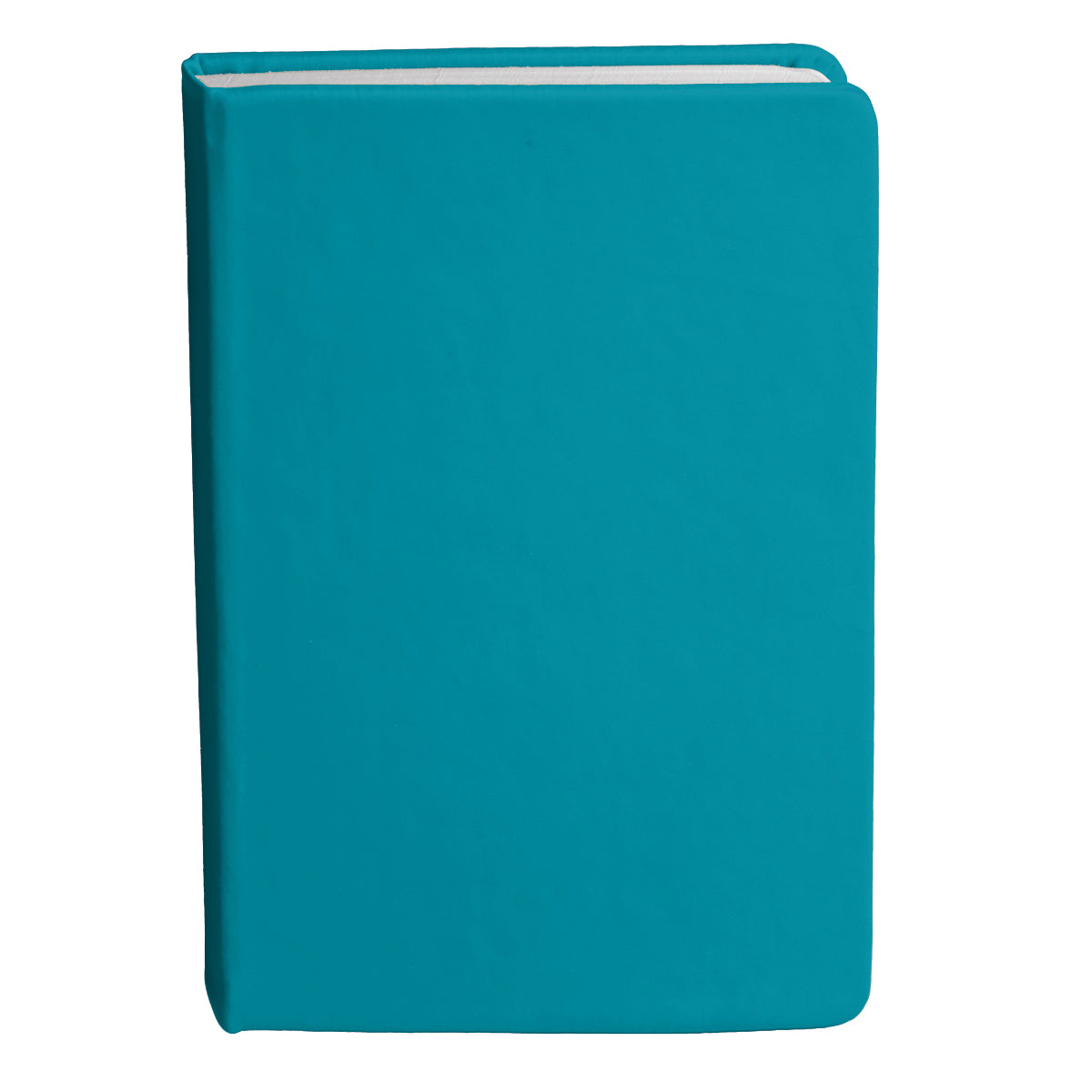 Bingham Notebook