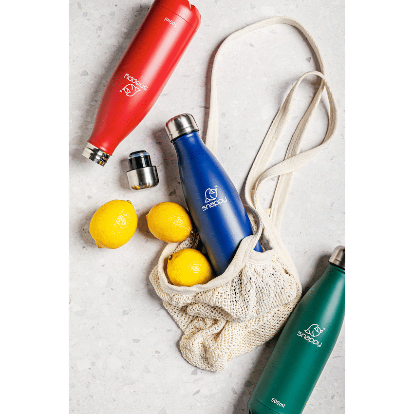 Snappy Stainless Steel Vacuum Bottle 500ml - Ocean