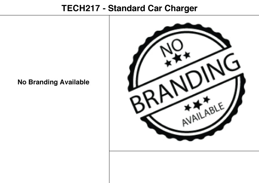 Standard Car Charger