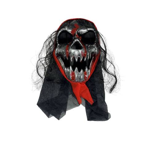 Iron Skull With Veil Mask