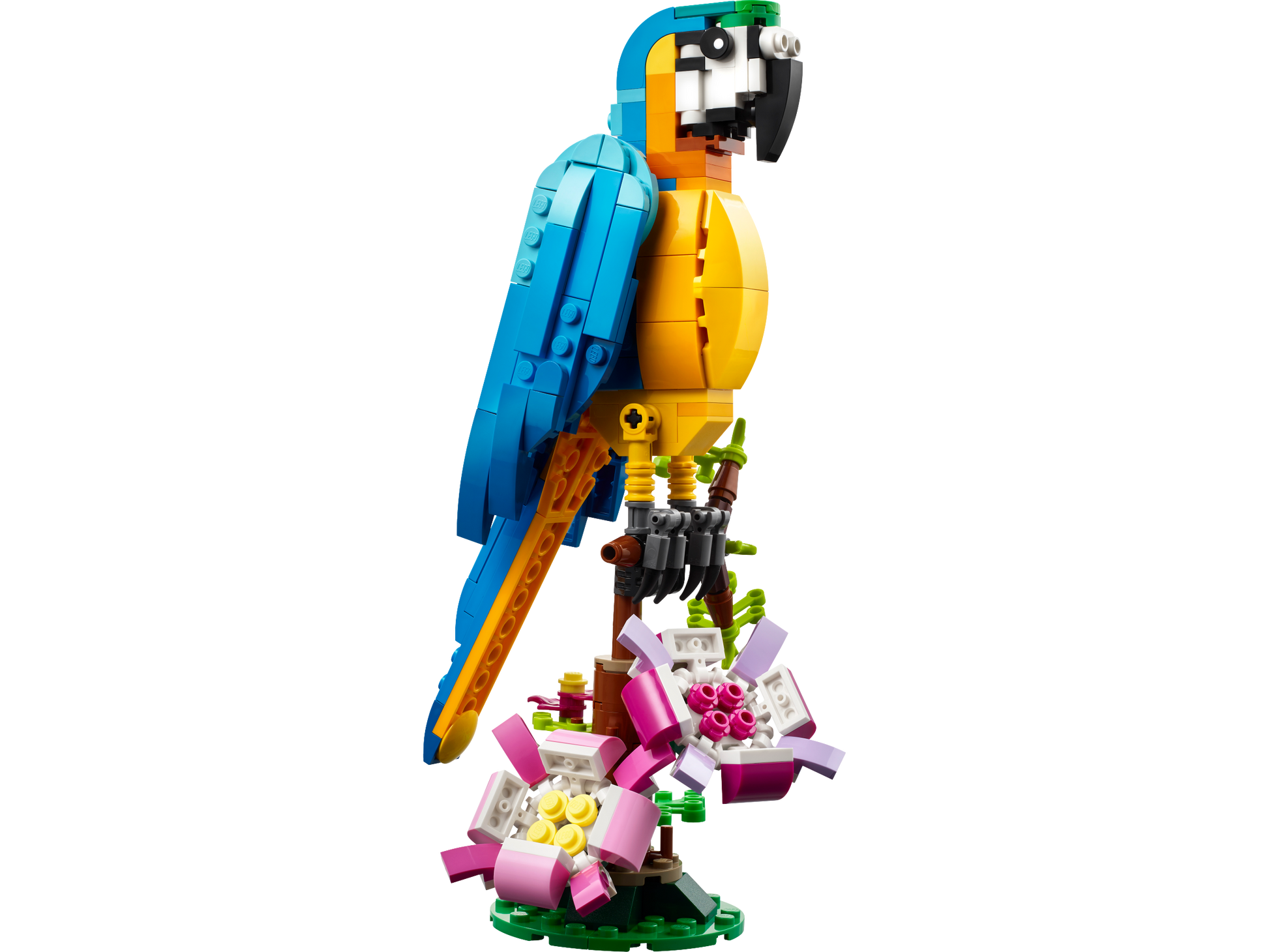 LEGO Exotic Parrot — Set 31136