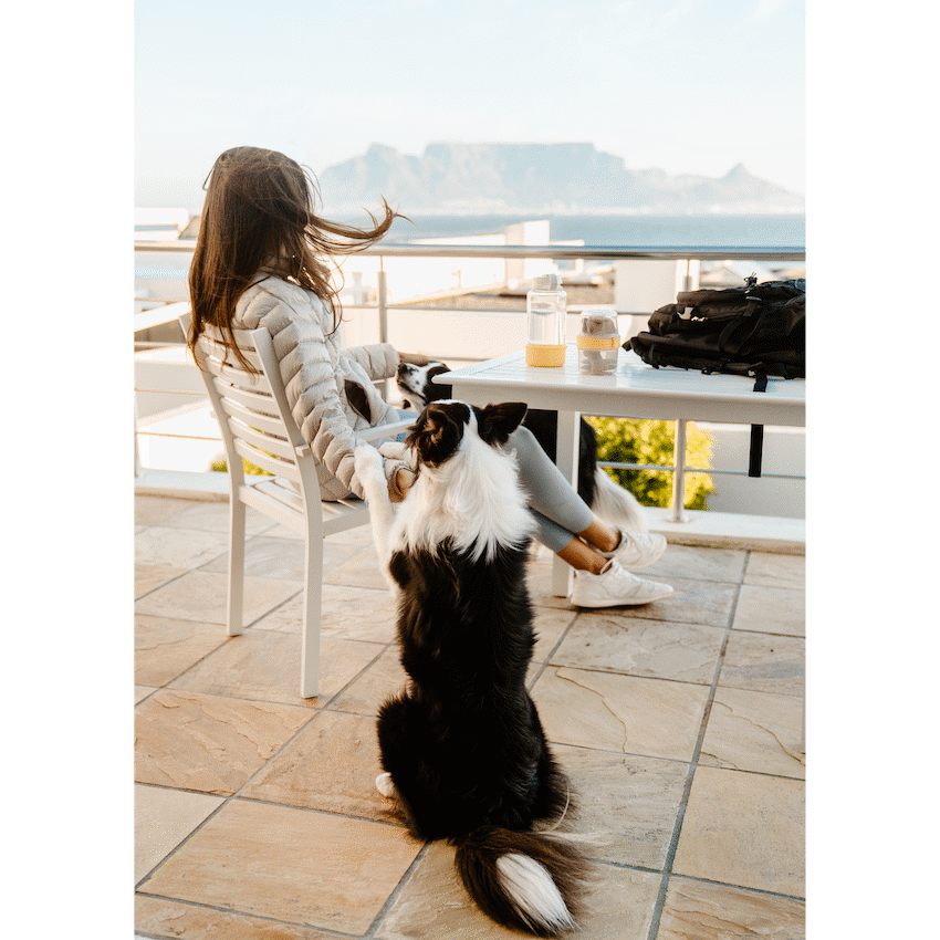 LocknLock Pet food container 360+310ml ( Order in Qty of 6)
