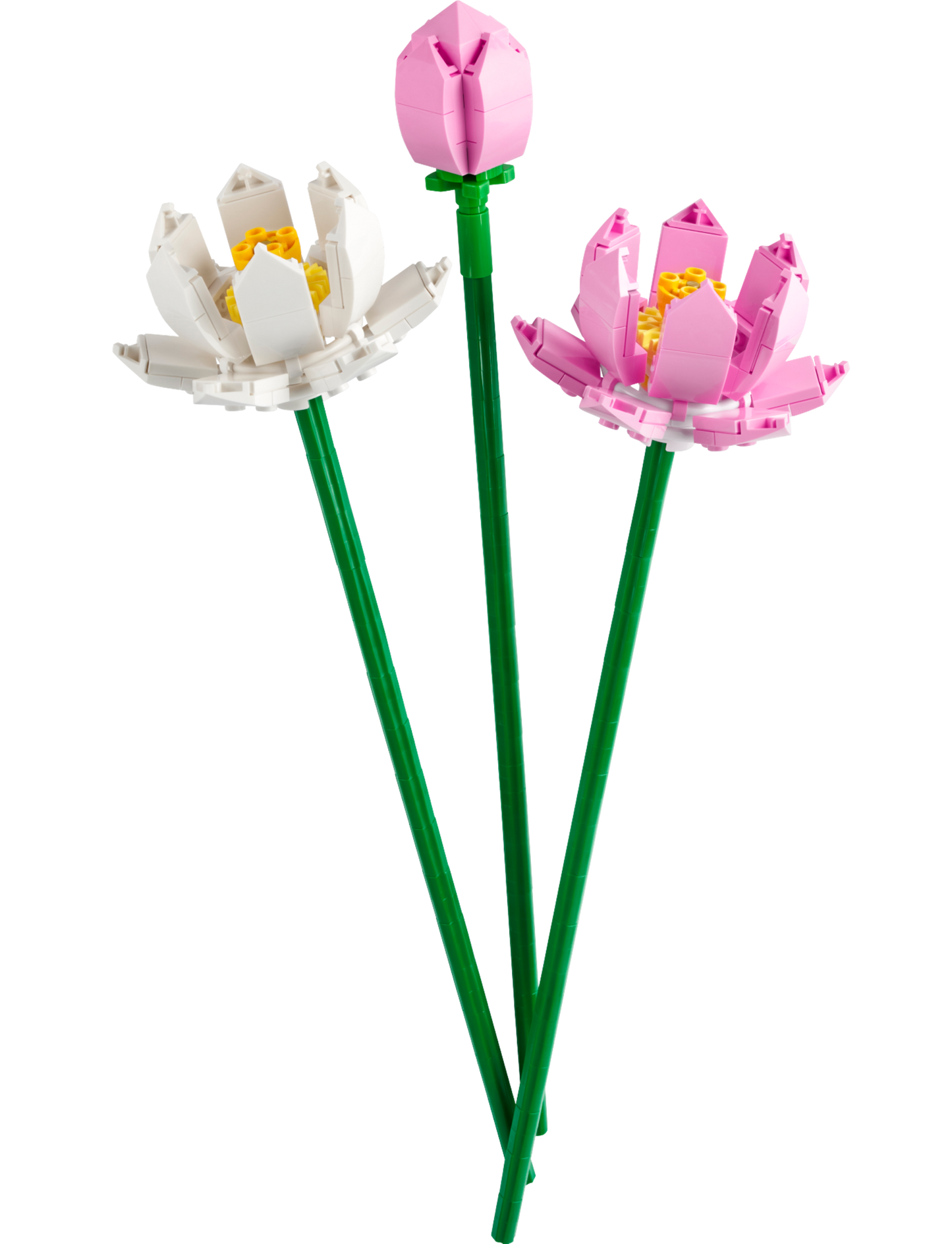 LEGO Lotus Flowers — Set 40647