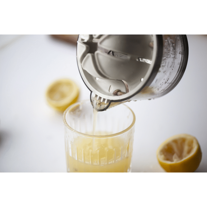 Kitchen Inspire Dual Juicer