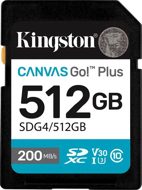 Kingston 512GB SDXC Canvas Go Plus Gen4 200MB/s C10 UHS-I U3 V30 - SD Card - Kingston - Accessories - Guards On Duty Shop & Security Guards