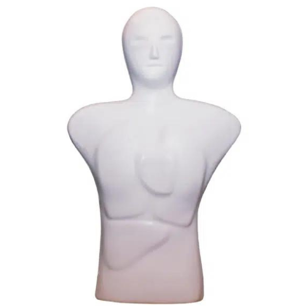 3D Dummy Target