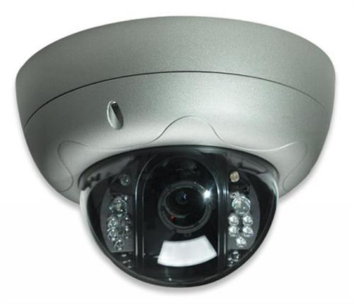 Intellinet Pro Serie R Network Dome