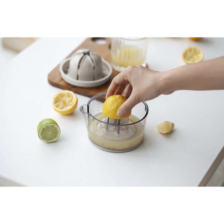 Kitchen Inspire Dual Juicer