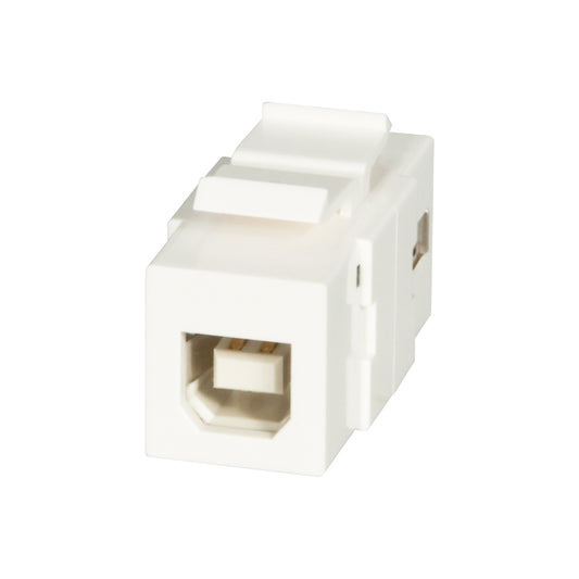 Lindy Usb a to B Snap in Keystone (60555) — Lindy | Guards on Duty Shop
