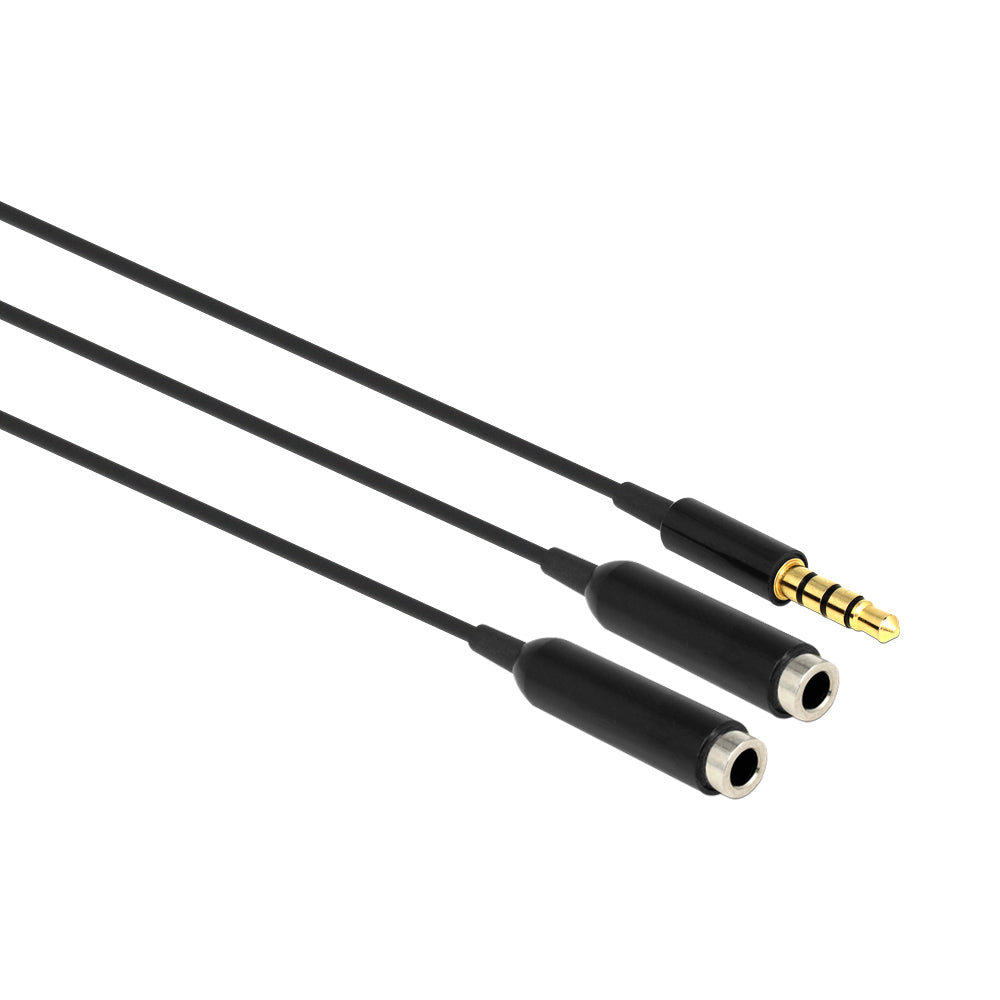 Delock 25cm Stereo M - 2x Stereo F 4-pole (65575) — Delock | Guards on Duty Shop