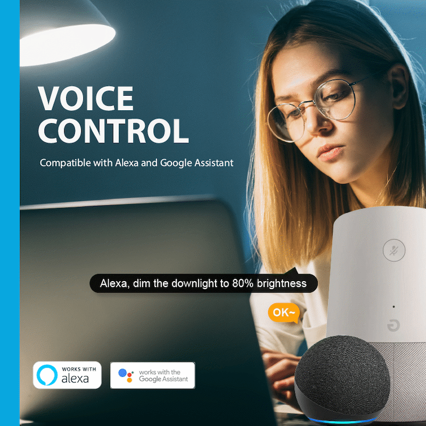 Smart Wi-Fi Switch 10a Twin Pack