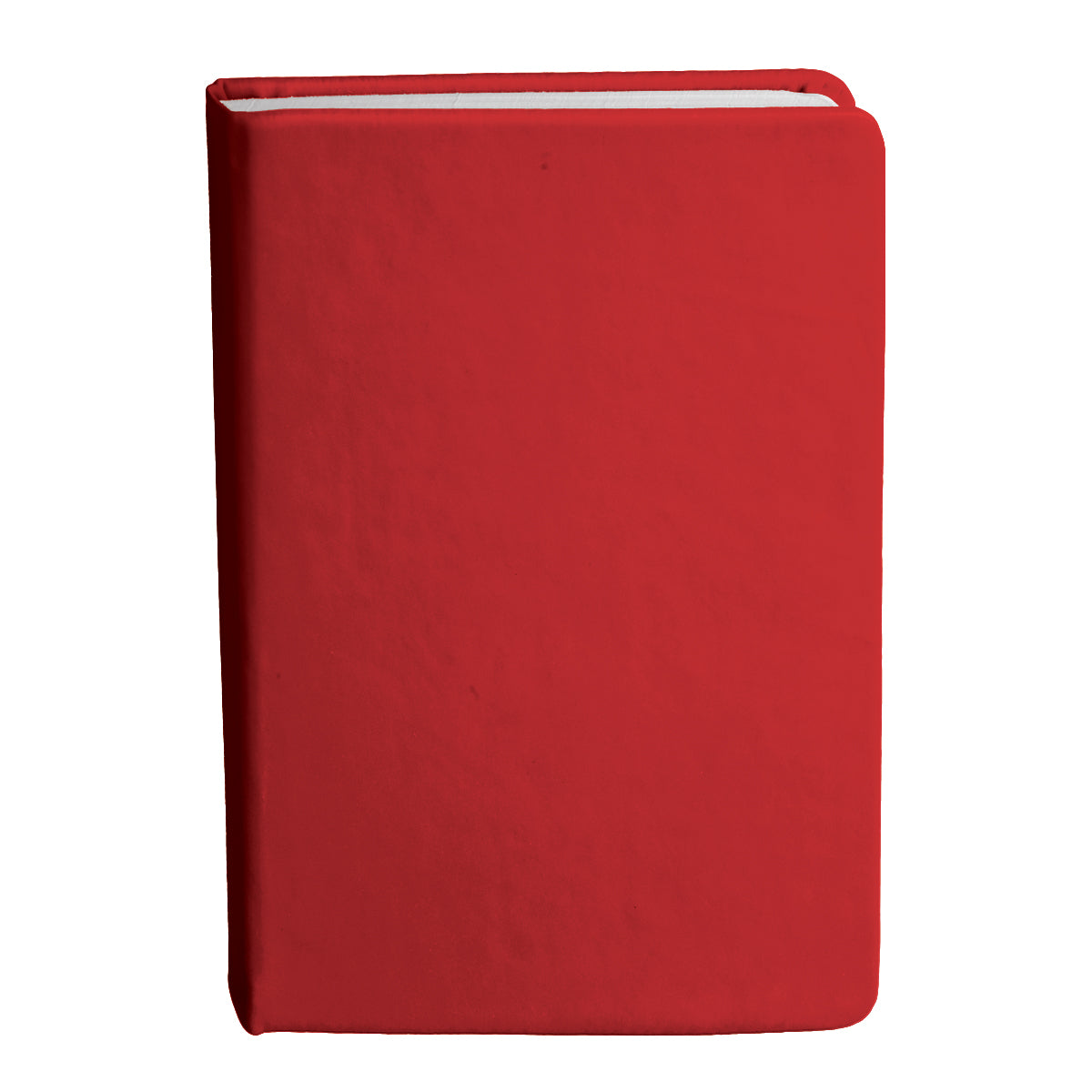 Bingham Notebook