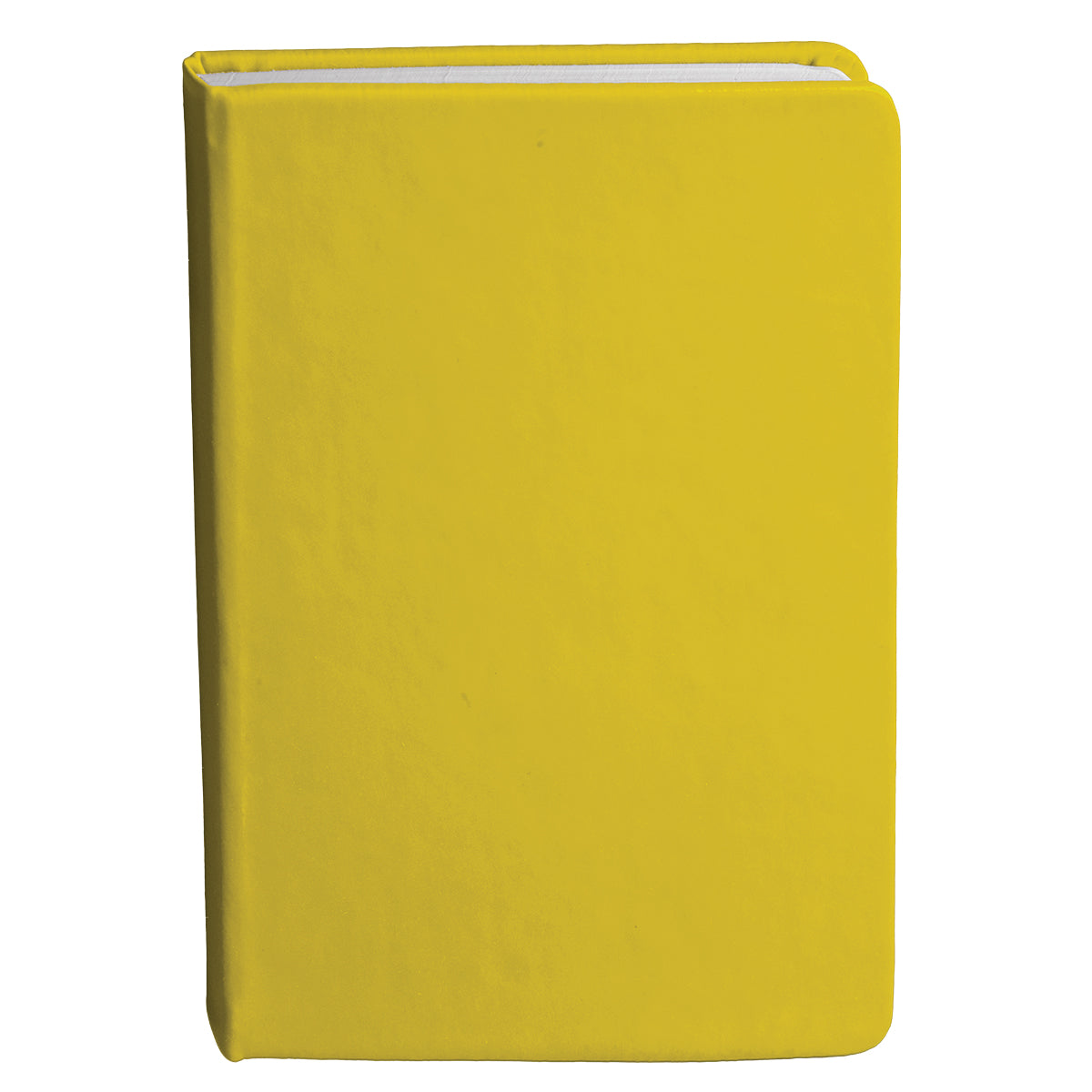 Bingham Notebook