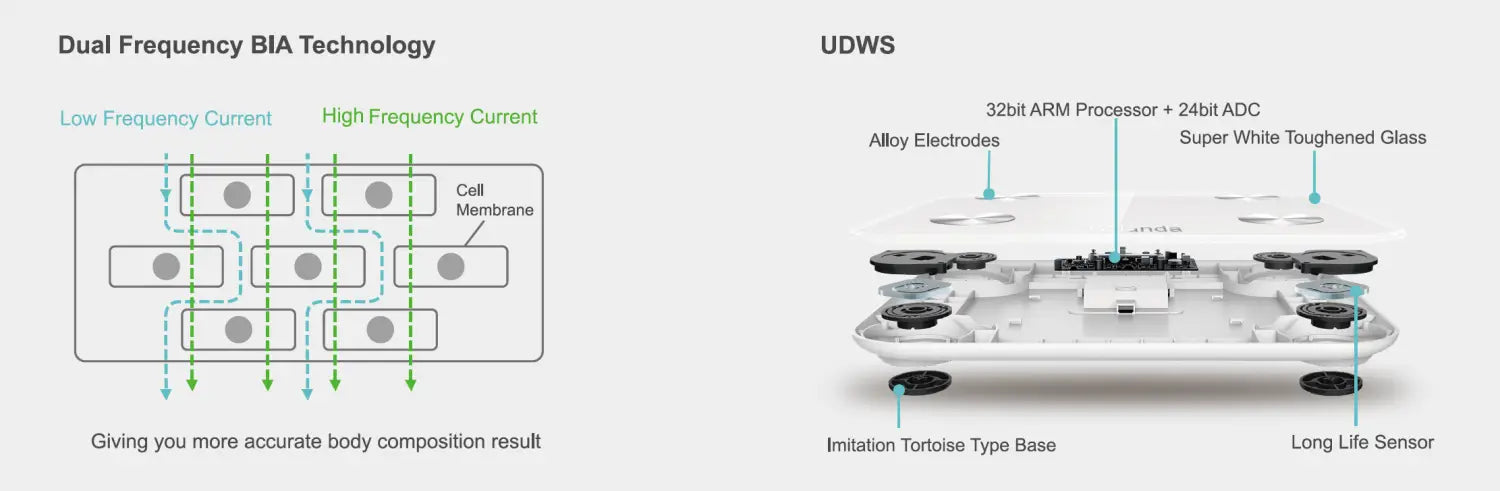 BNETA Colour LCD Smart Body Scale