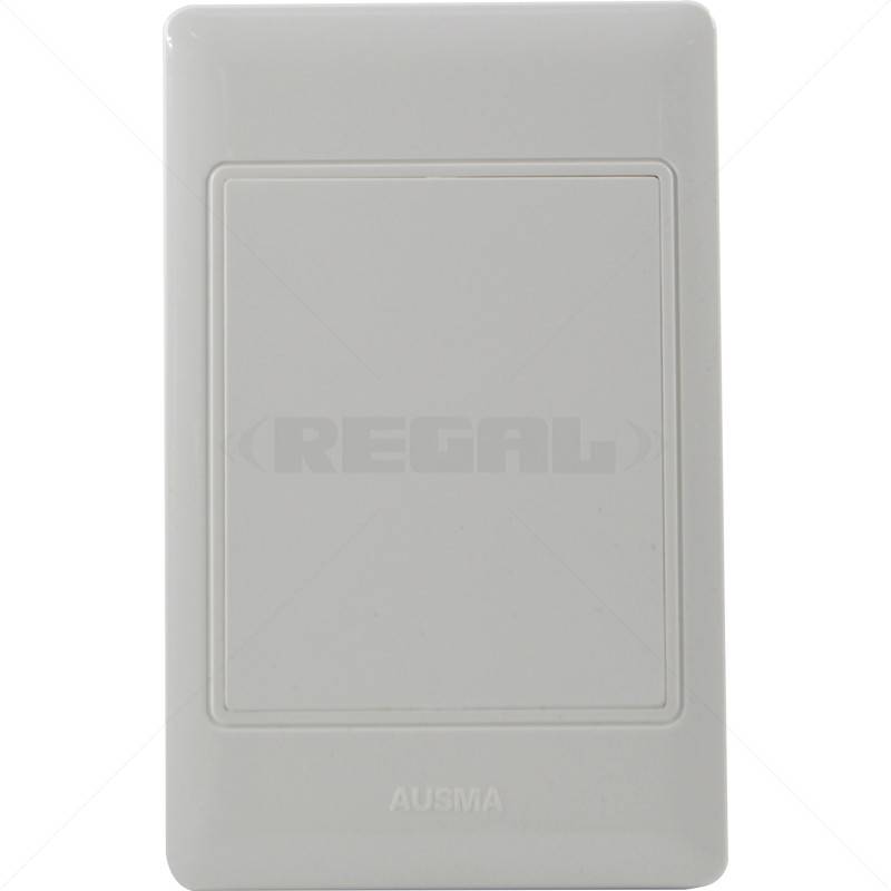 Conduit PVC Cover Plate 4 x 2" Box