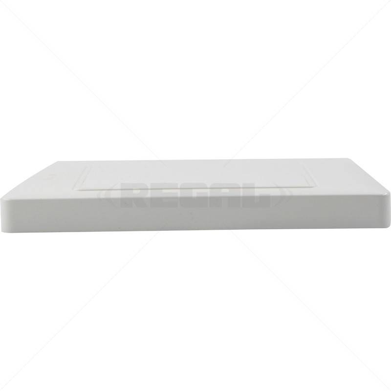 Conduit PVC Cover Plate 4 x 2" Box