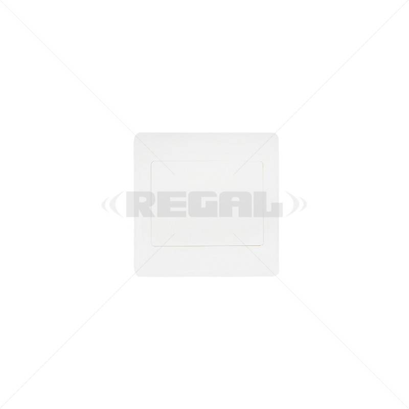 Conduit PVC Cover Plate 4 x 4" Box