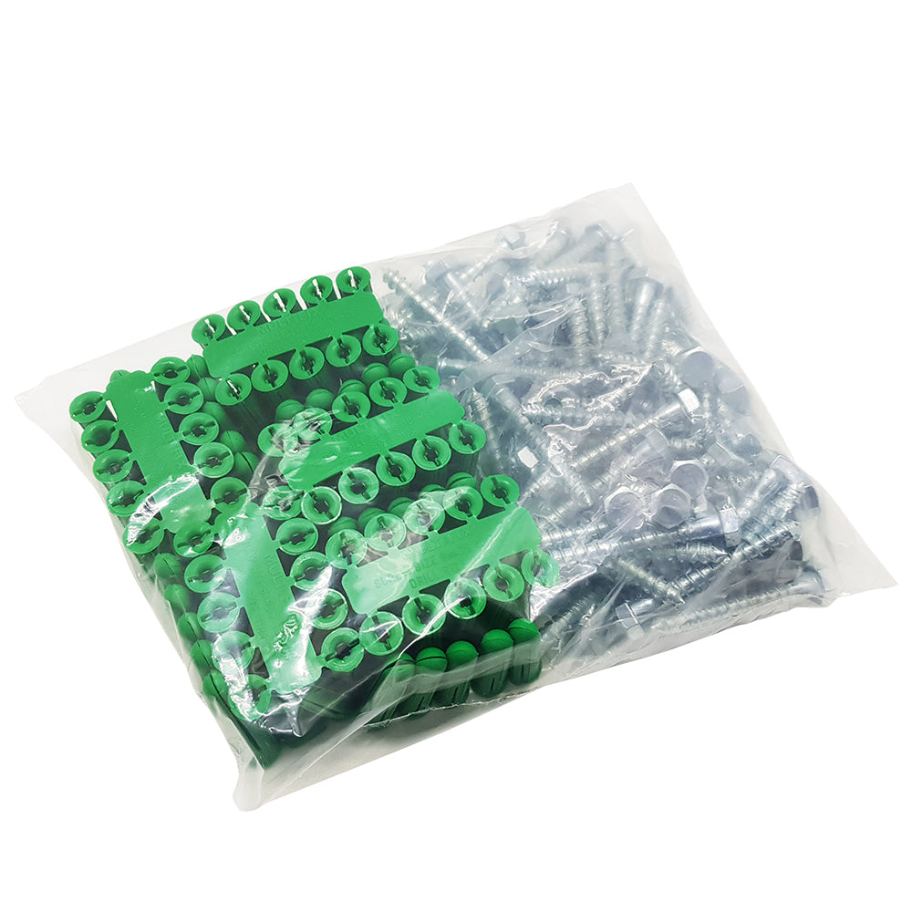 Steel Coach Screws with Wall Plugs x100 (COUCH01)