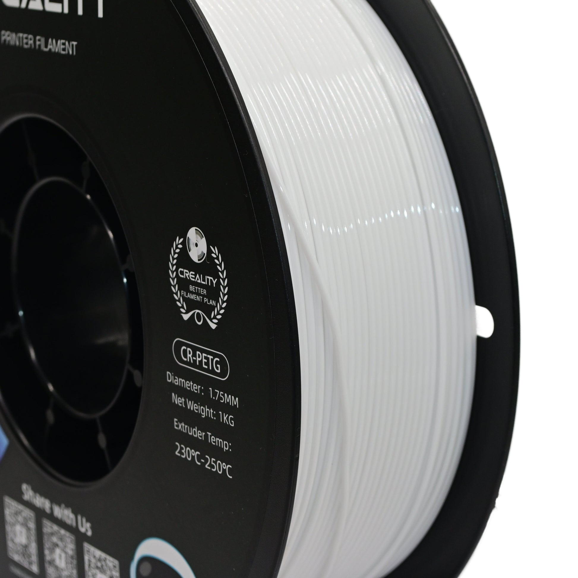 Raise3D Raise 3D PETG Filament-White