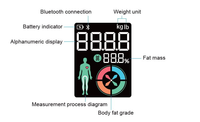 BNETA Colour LCD Smart Body Scale