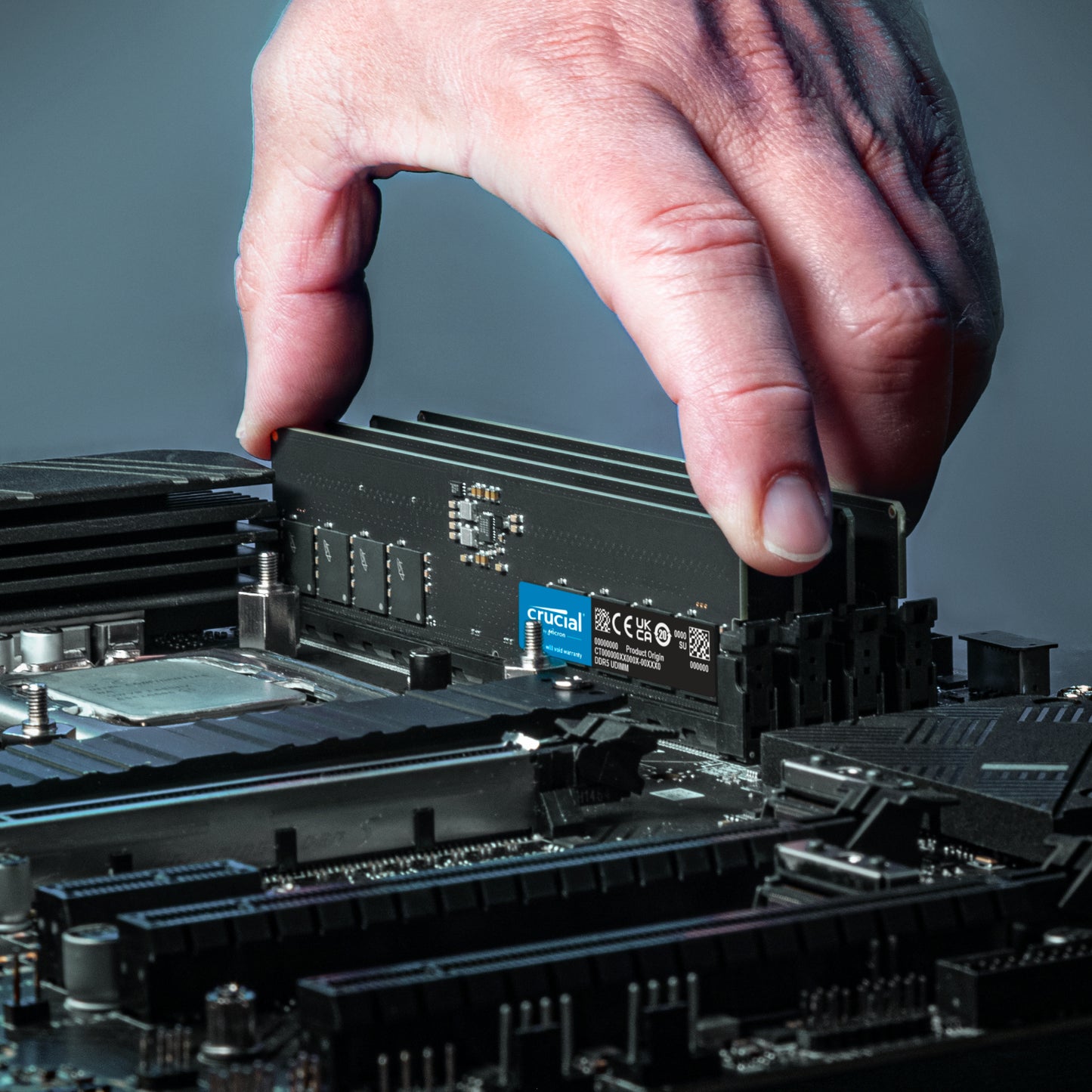 Crucial 16GB 5600MHz DDR5 Desktop Memory - Guards On Duty Shop & Security Guards
