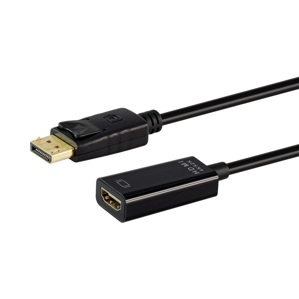 Linkqnet Connectivity Cnv-dp-hdmi-lq 4k Cnv-dp-hdmi-lq Displayport Male to Hdmi Female Converter — LinkQnet | Guards on Duty Shop
