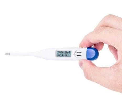 Casey Blue Electronic Thermometer