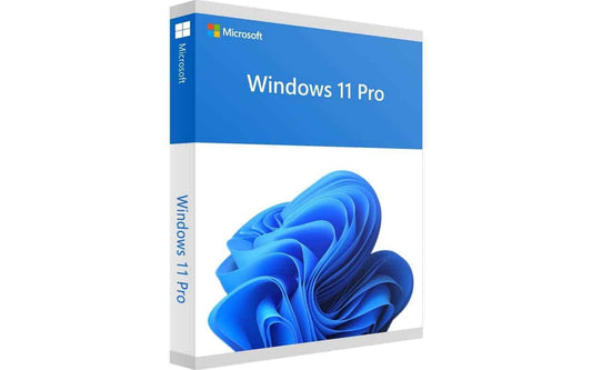 Microsoft - Windows 11 Professional Full Install - Download - Guards On Duty Shop & Security Guards