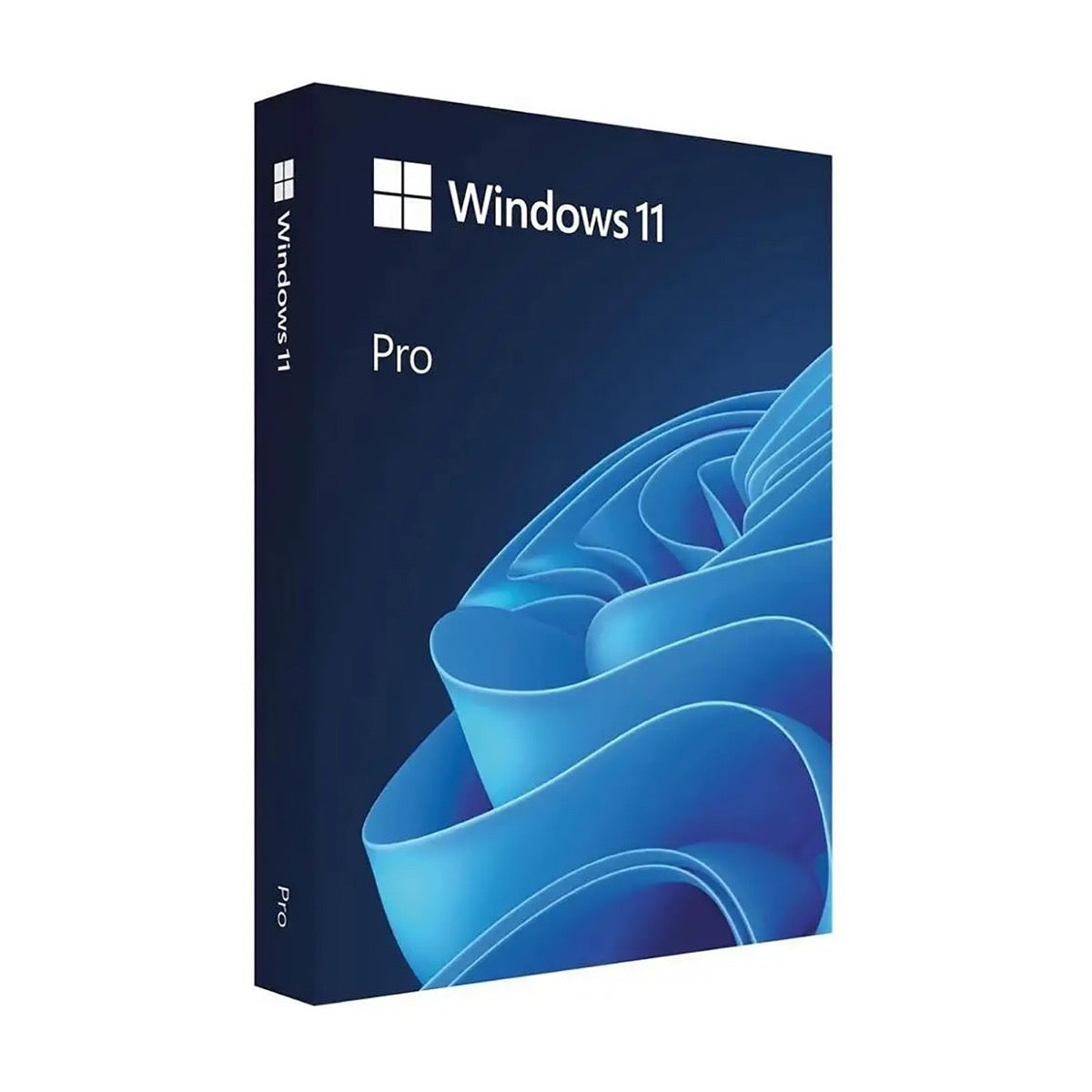 Microsoft Windows 11 Professional Single-User DVD License - Guards On Duty Shop & Security Guards
