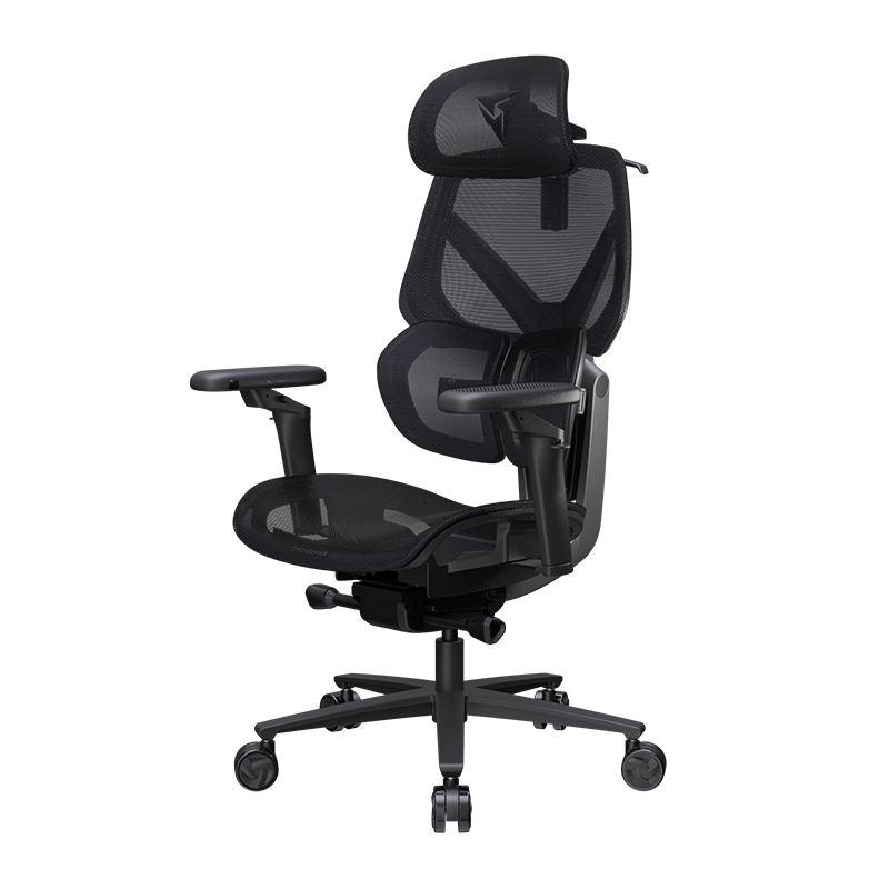 Thunderx3 Flex Pro Ergonomic Chair - Mesh Black (TEGC-3076101.12).