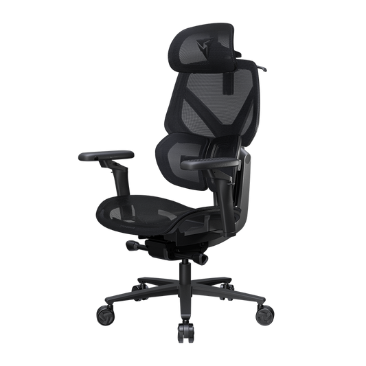Thunderx3 Flex Pro Ergonomic Chair - Mesh Black (TEGC-3076101.12).