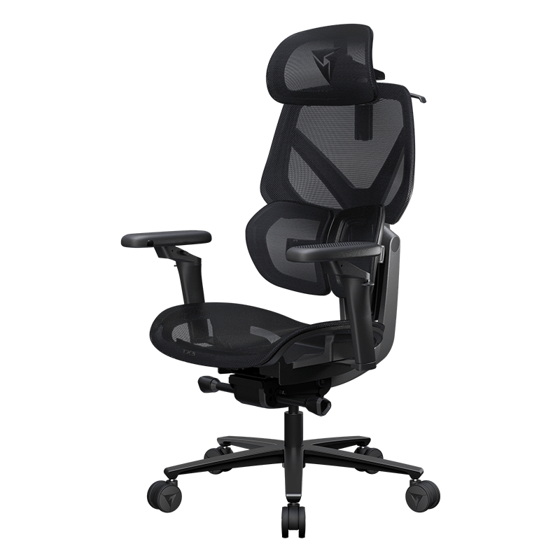 Thunderx3 Flex Pro Ergonomic Chair - Mesh Black (TEGC-3076101.12).