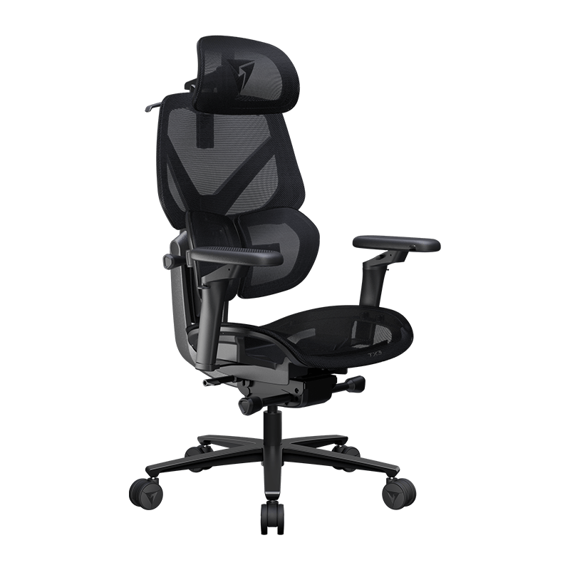 Thunderx3 Flex Pro Ergonomic Chair - Mesh Black (TEGC-3076101.12).