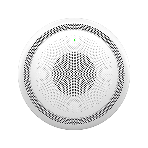 Grandstream GSC3516 SIP/Multicast Talk-Back Speaker - Guards On Duty Shop & Security Guards