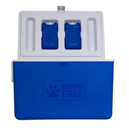 CADAC Born Free 45L Cooler Box - Blue - Guards On Duty Shop & Security Guards
