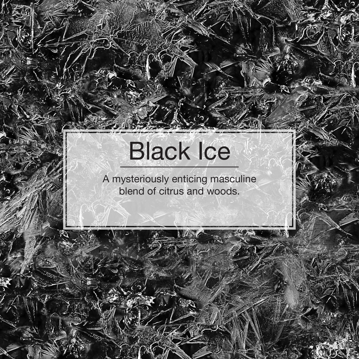 Little Trees Vent Wrap - Black Ice (4 x 4 Pack)